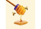 Blueberry honey