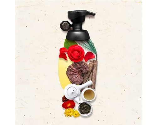 Shampoo per la cura della perdita dei capelli Daeng Gi Meo Ri Diae Soo