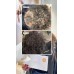 Trattamento al collagene, ceramidi e proteine Milky Piggy Coating Elizavecca