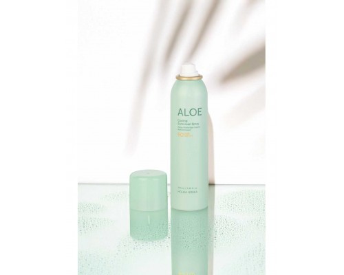 Spray solare rinfrescante all'aloe SPF50+ PA++++ Holika Holika