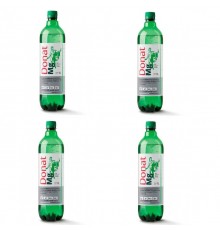 Acqua minerale naturale Donat Mg 4 pz