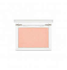 Blush Ballet Shoes Missha