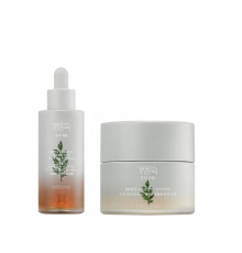 Set doppio all'artemisia Missha