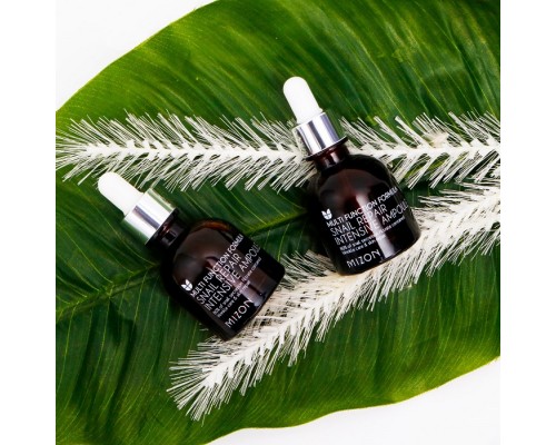 Ampoule alla bava di lumaca per riparazione intensiva Mizon