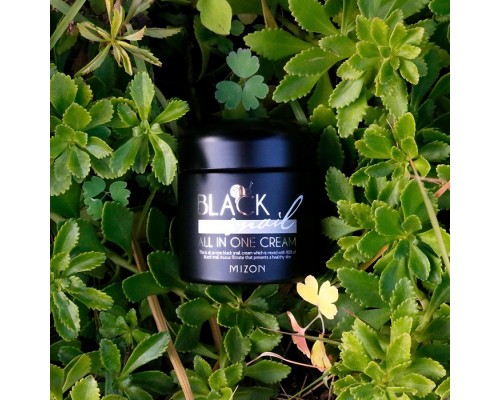 Crema alla bava di lumaca nera All in One Mizon