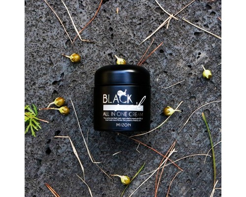 Crema alla bava di lumaca nera All in One Mizon