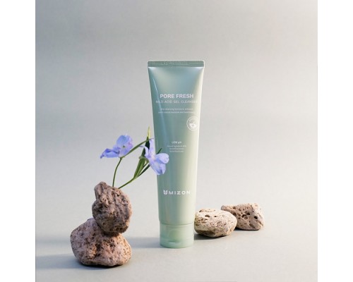 Gel detergente leggermente acido Pore Fresh Mizon