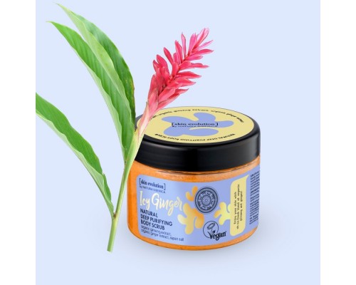 Scrub corpo naturale per la pulizia profonda Zenzero ghiacciato Skin Evolution Natura Siberica