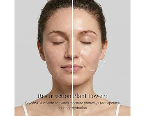 Toner idratante Birch Juice Round Lab