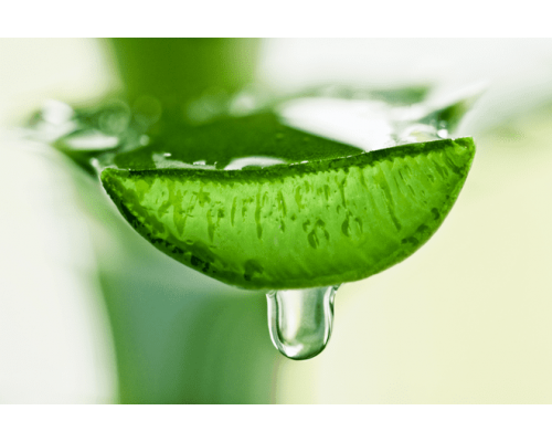 Schiuma detergente all'aloe fresco Jeju The Saem