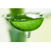 Schiuma detergente all'aloe fresco Jeju The Saem