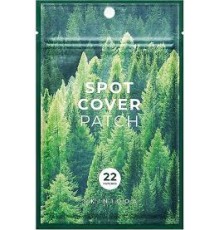 Cerotti spot per coprire i brufoli Skin1004