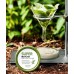 Maschera all'argilla per la pulizia dei pori Super Matcha 100 g Some By Mi
